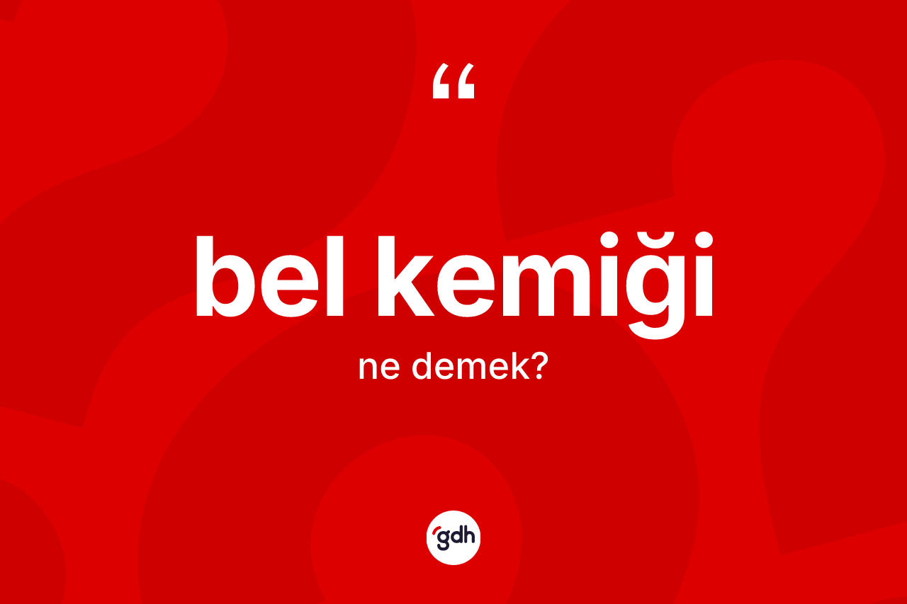 Bel kemiği kelimesi ne demek? Bel kemiği kelimesinin kaç farklı anlamı var?
