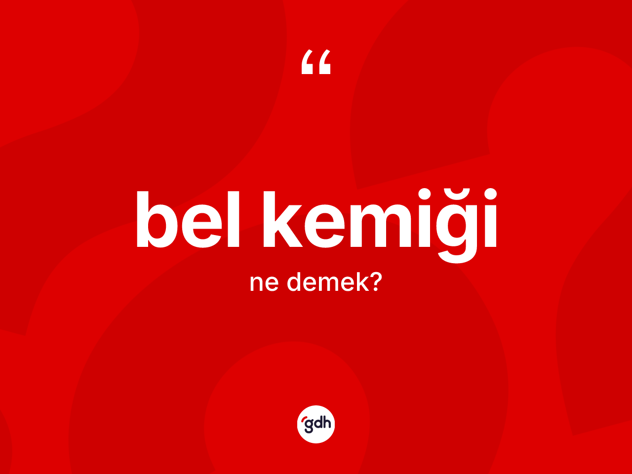 Bel kemiği kelimesi ne demek? Bel kemiği kelimesinin kaç farklı anlamı var?