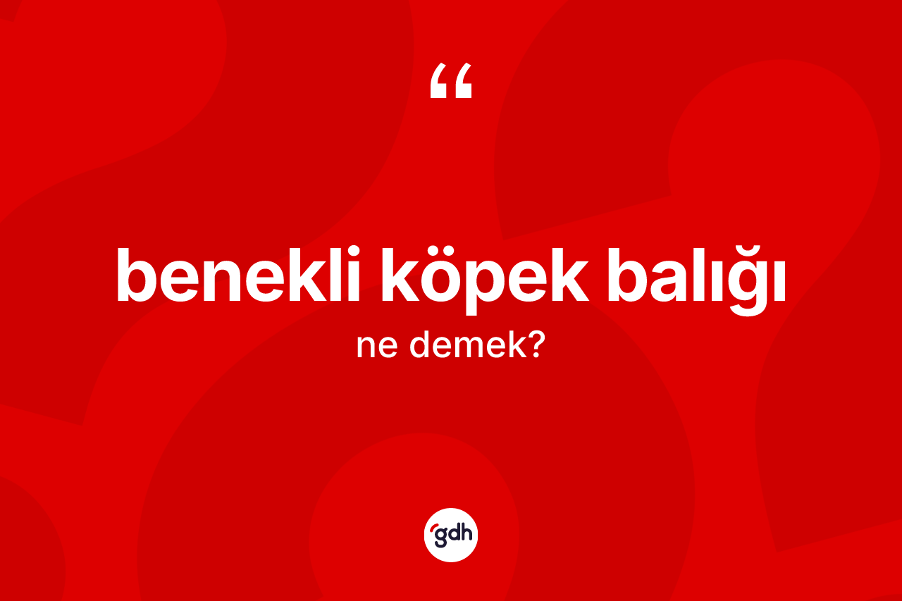 Benekli köpek balığı kelimesinin tanımı nedir? Benekli köpek balığının TDK'ya göre anlamı nedir?