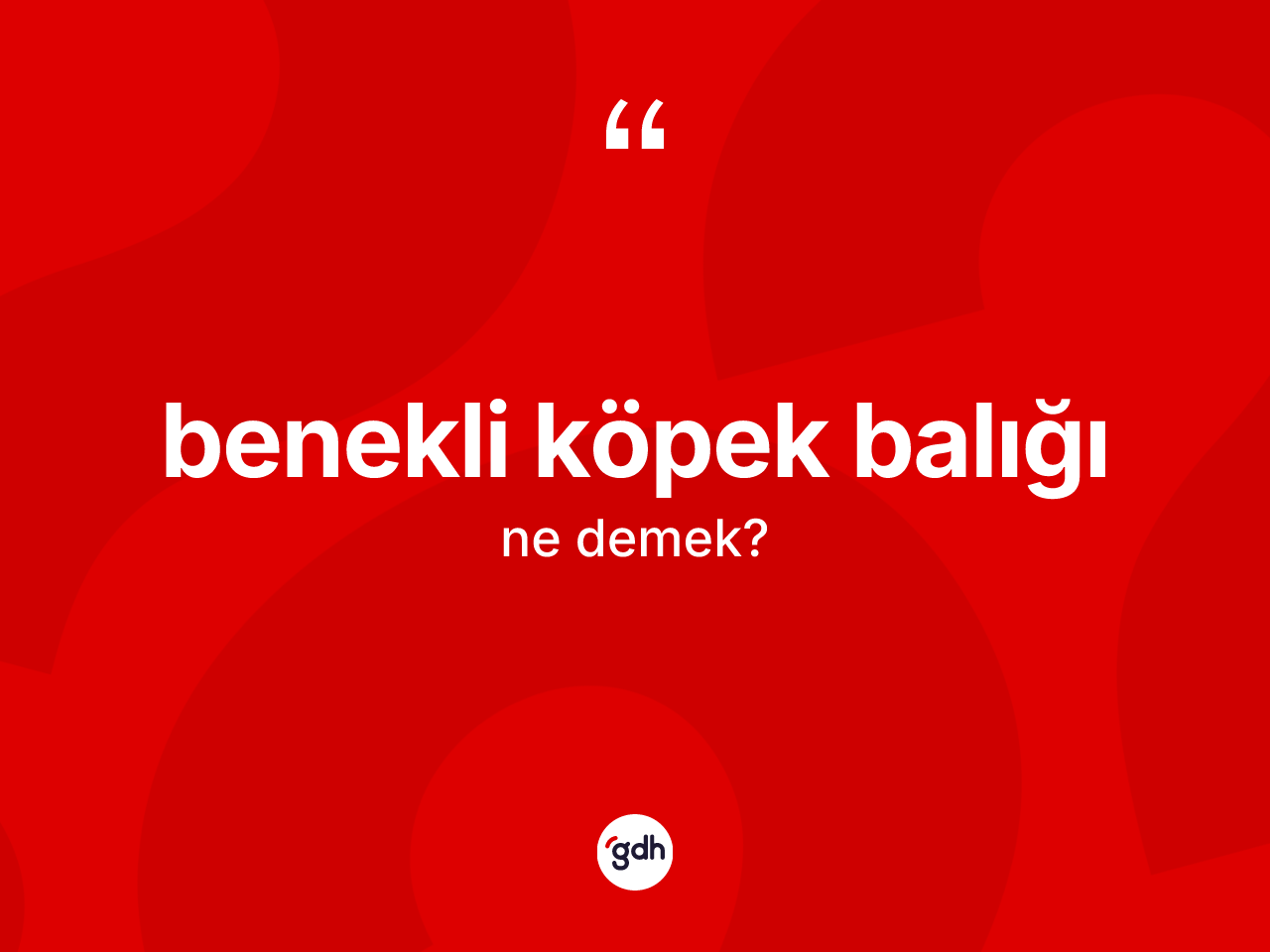 Benekli köpek balığı kelimesinin tanımı nedir? Benekli köpek balığının TDK'ya göre anlamı nedir?