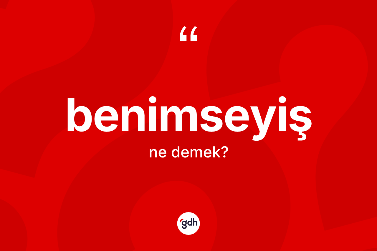 Benimseyiş nedir?