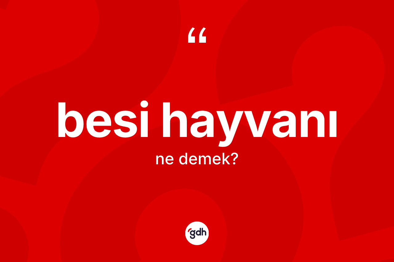 Besi hayvanı kelimesi ne demek? Besi hayvanının kısaca tanımı nedir?