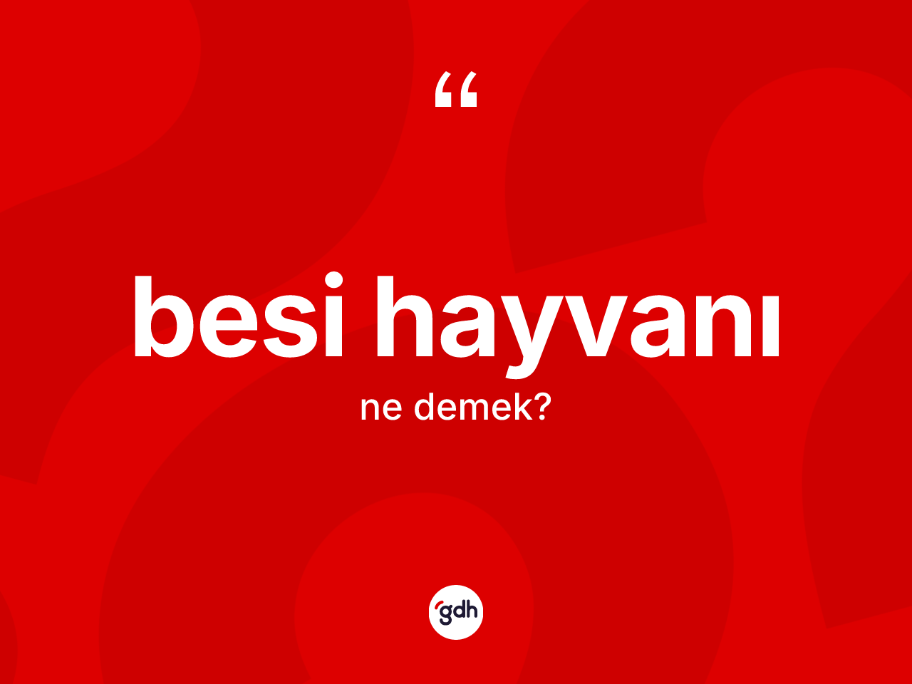 Besi hayvanı kelimesi ne demek? Besi hayvanının kısaca tanımı nedir?