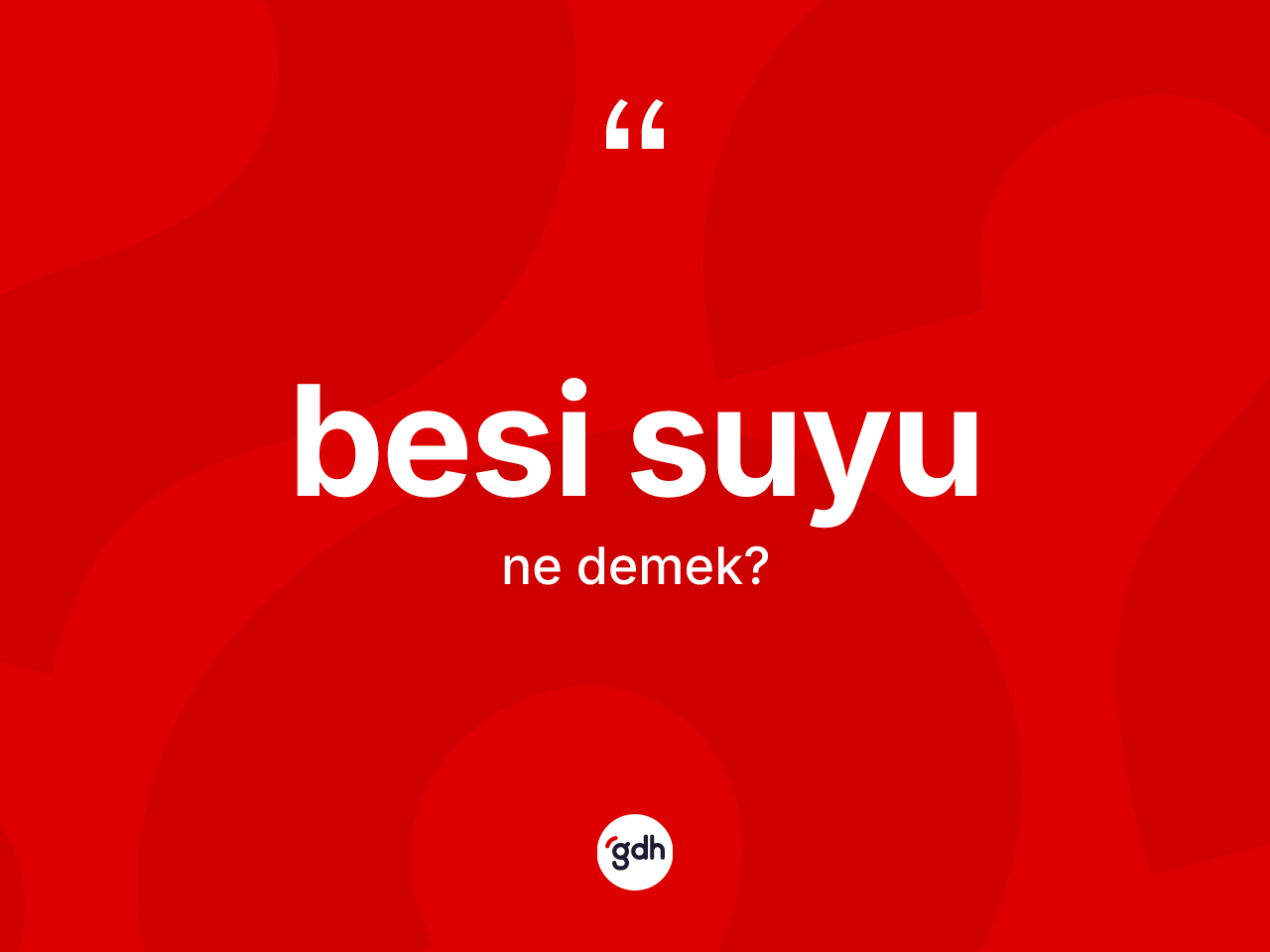 Besi suyu kelimesinin anlamı nedir? Besi suyu kelimesinin kaç farklı anlamı var?