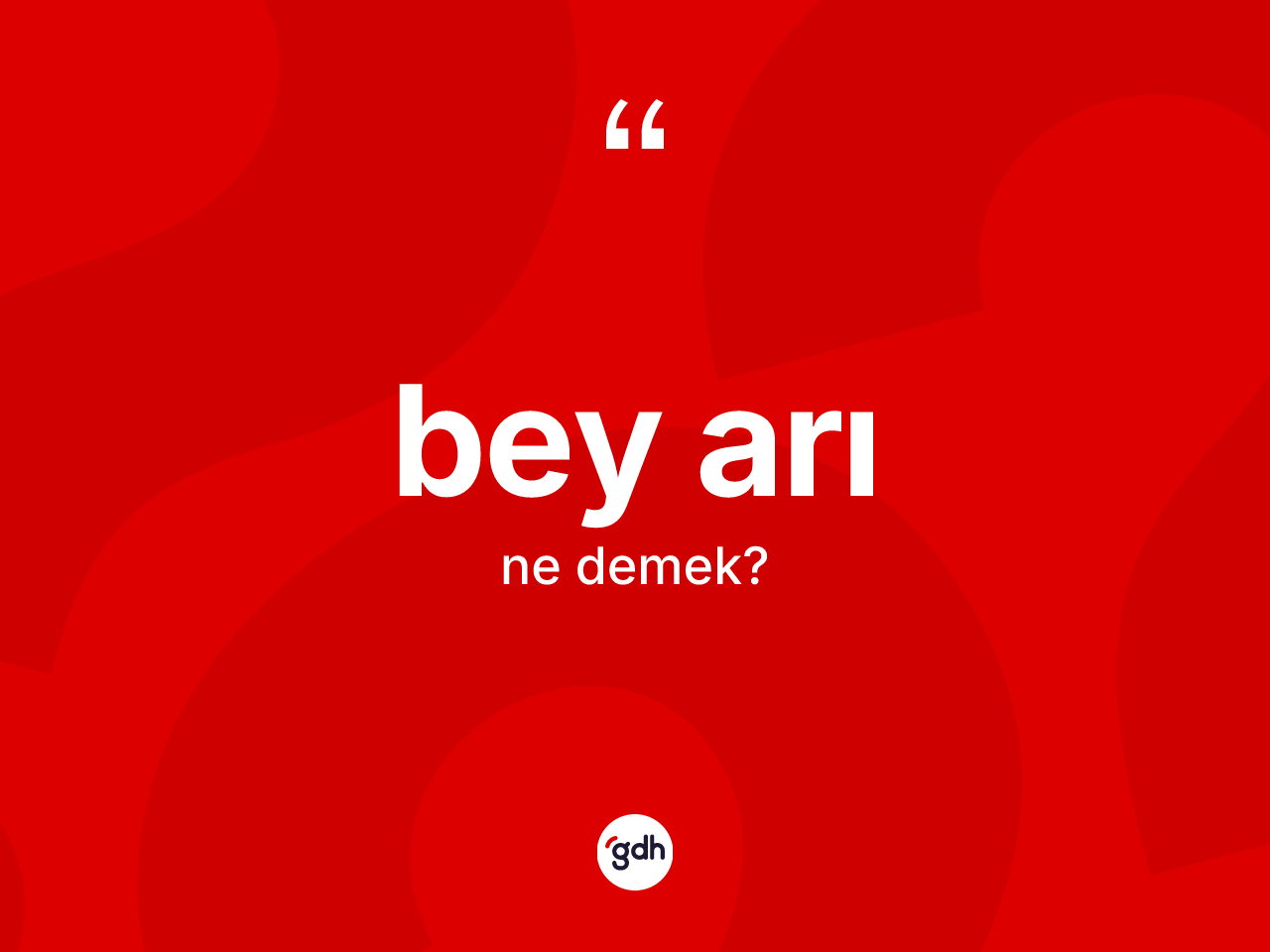 Bey arı kelimesinin tanımı nedir? Bey arı kelimesinin kaç farklı anlamı var?
