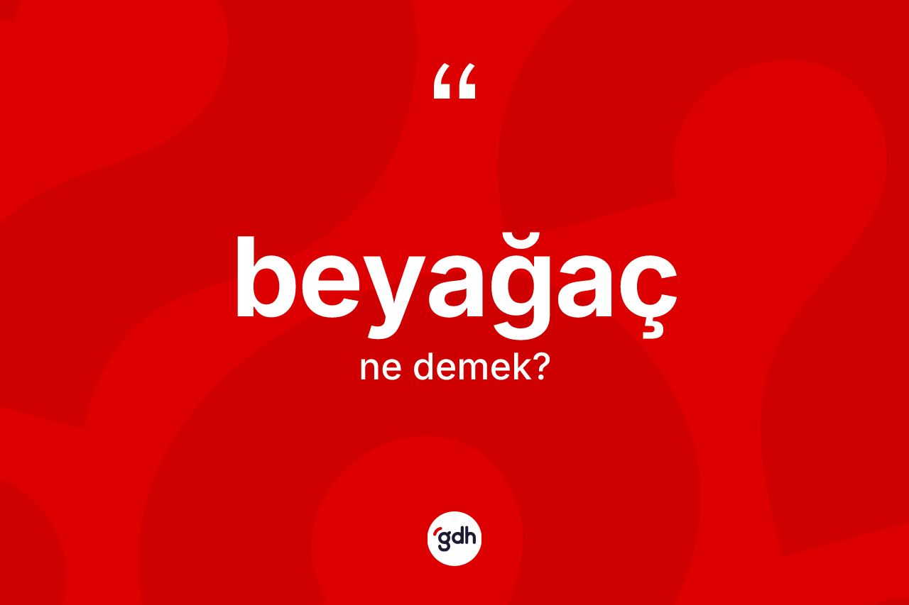 Beyağaç kelimesinin sözlükteki tanımı nedir? Beyağaç'ın sözlükteki anlamı nedir?