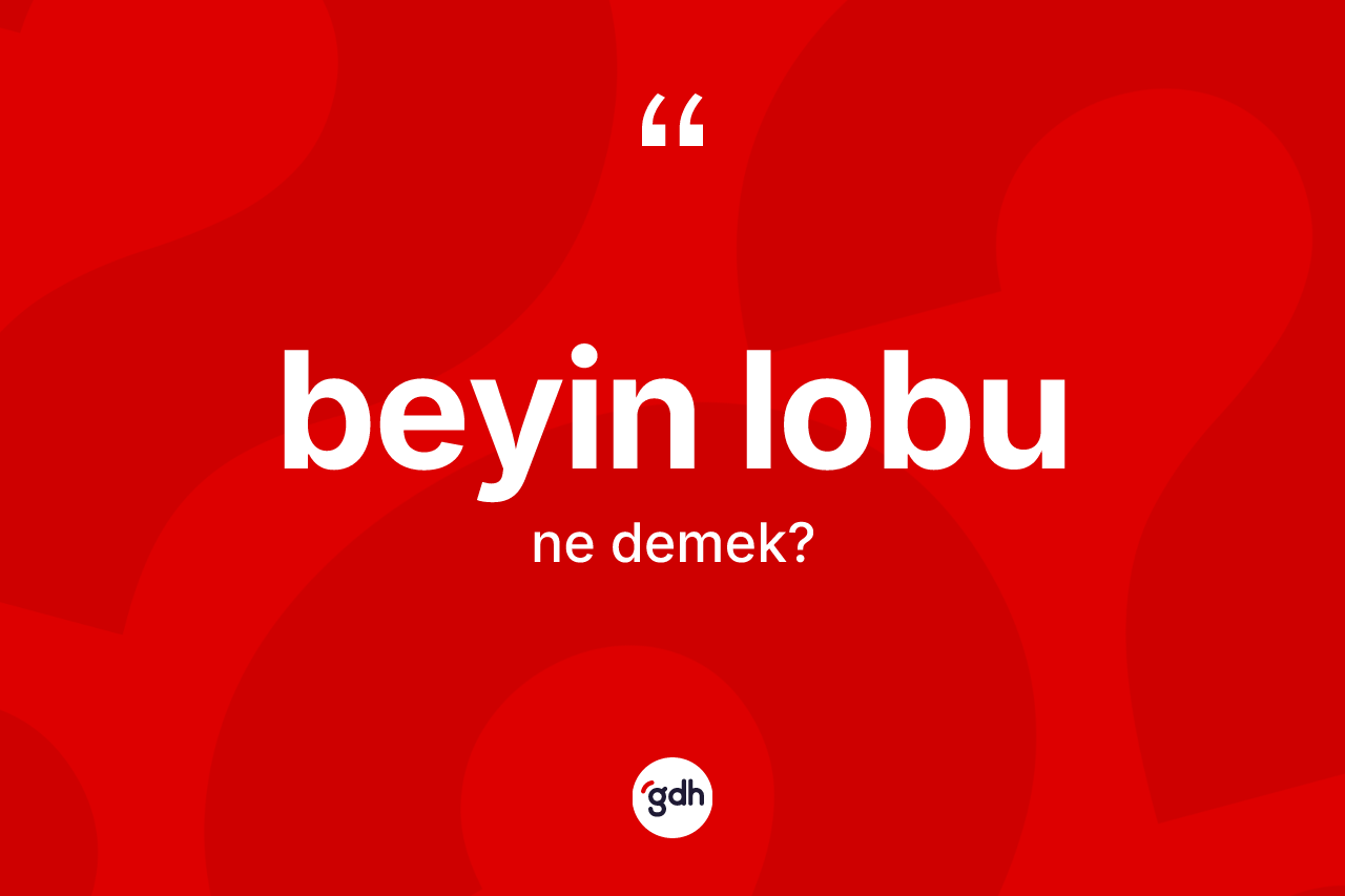 Beyin lobu ne anlama gelir?