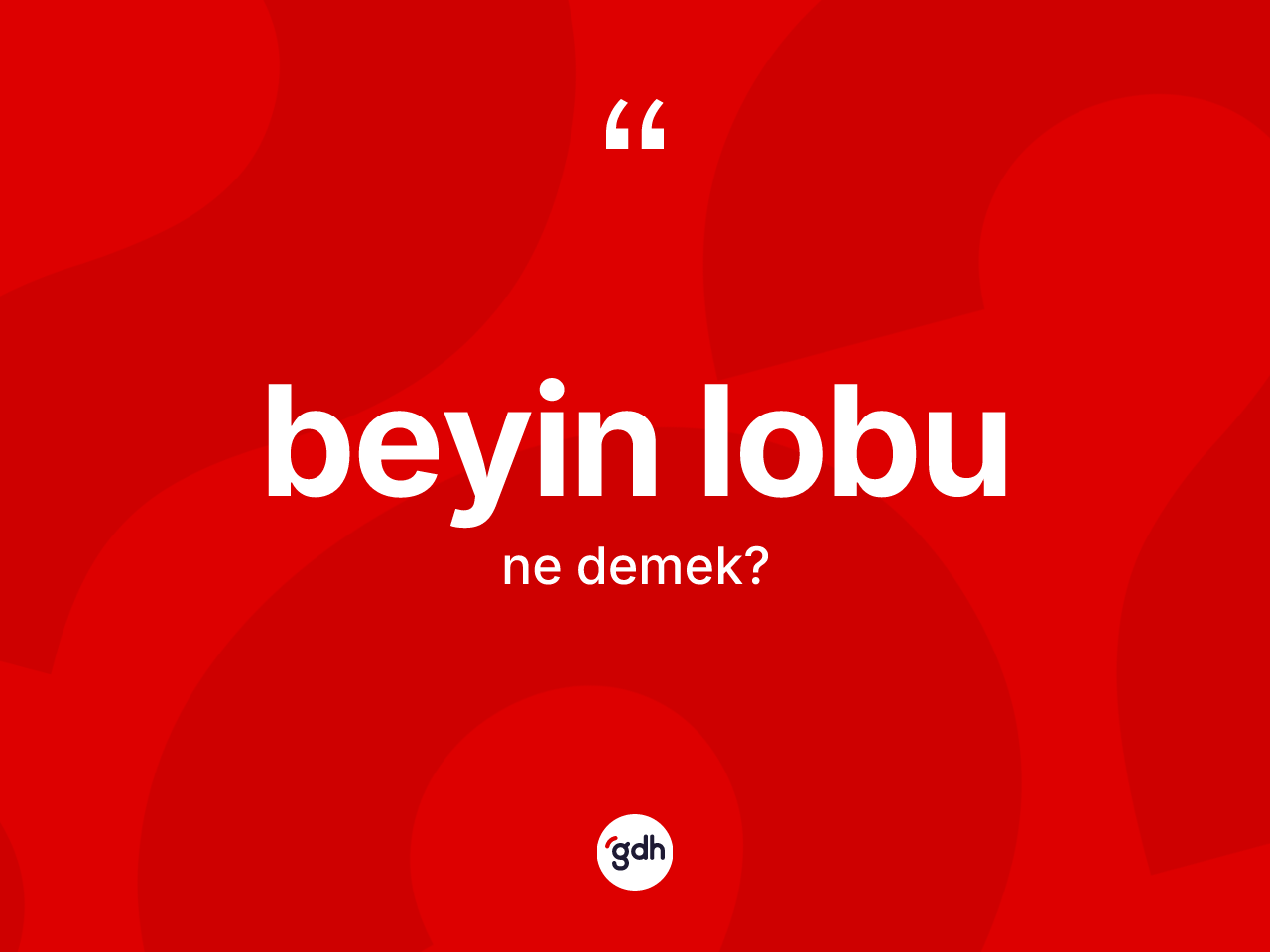Beyin lobu ne anlama gelir? Beyin lobu kelimesinin kaç farklı anlamı var?