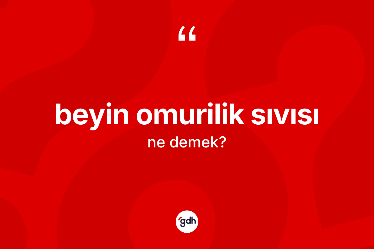 Beyin omurilik sıvısı kelimesi ne demek?