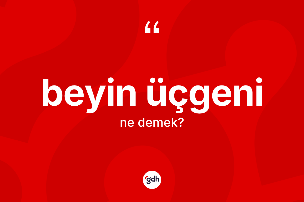 Beyin üçgeni kelimesi ne demek?