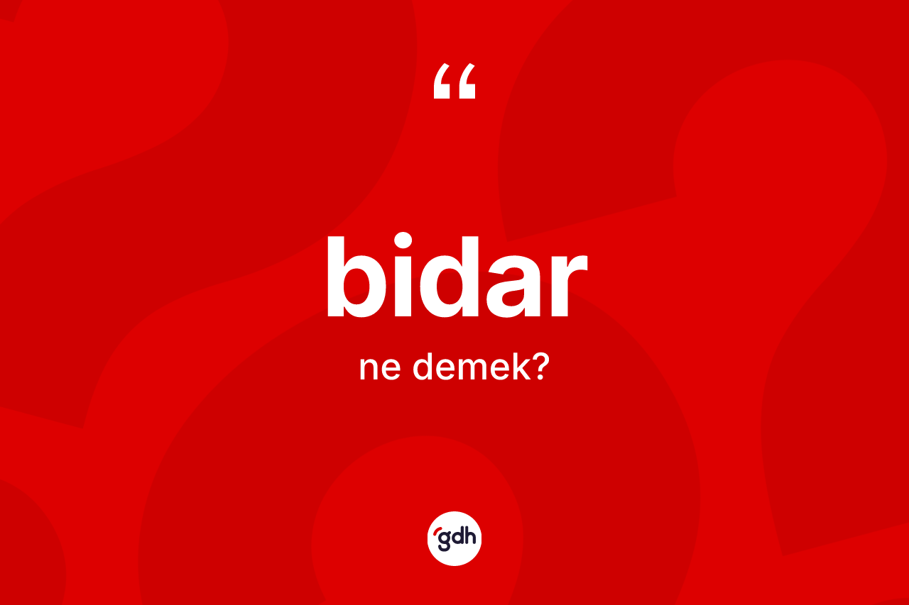 Bidar ne anlama gelir? Bidarın TDK'ya göre anlamı nedir?