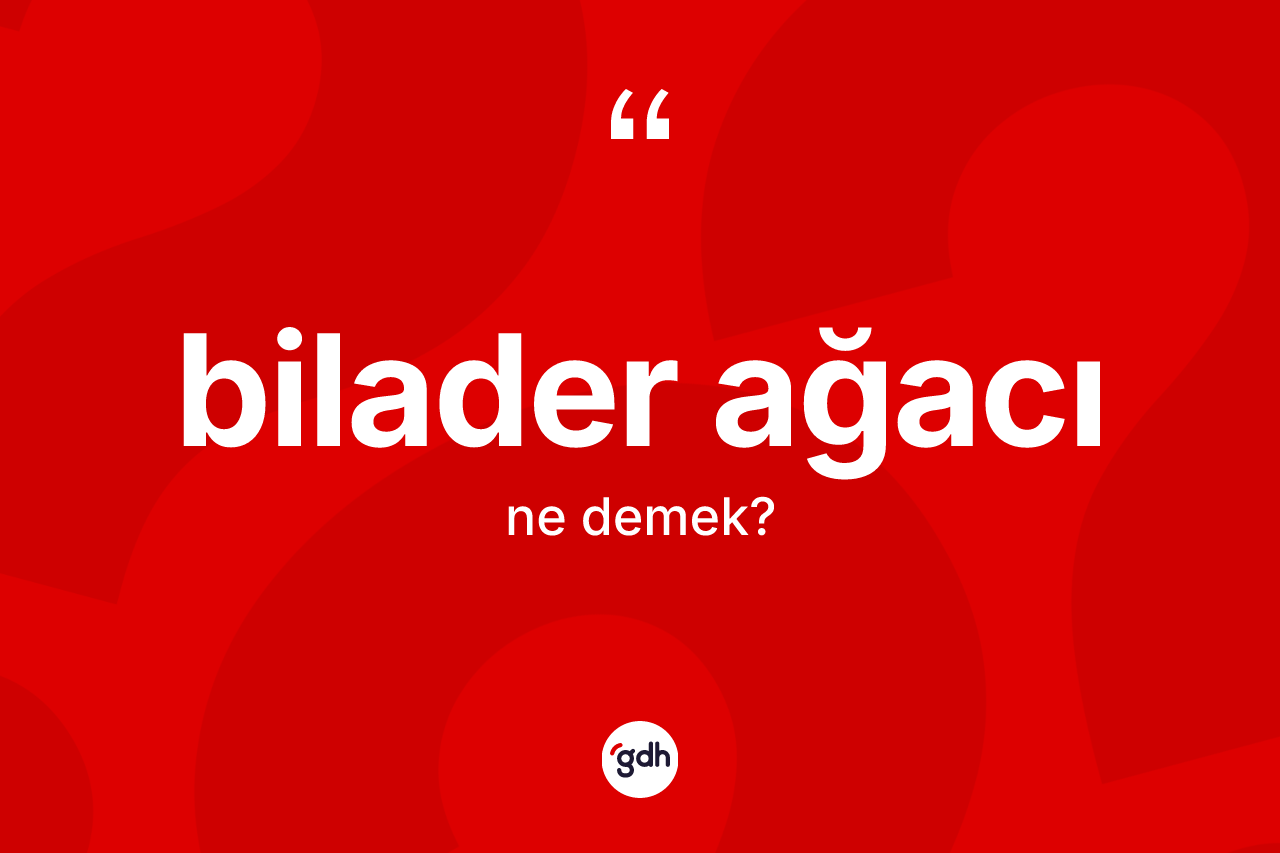 Bilader ağacı kelimesinin anlamı nedir? Bilader ağacının TDK'ya göre anlamı nedir?