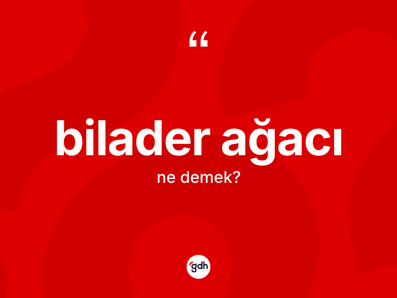 Bilader ağacı kelimesinin anlamı nedir? Bilader ağacının TDK'ya göre anlamı nedir?
