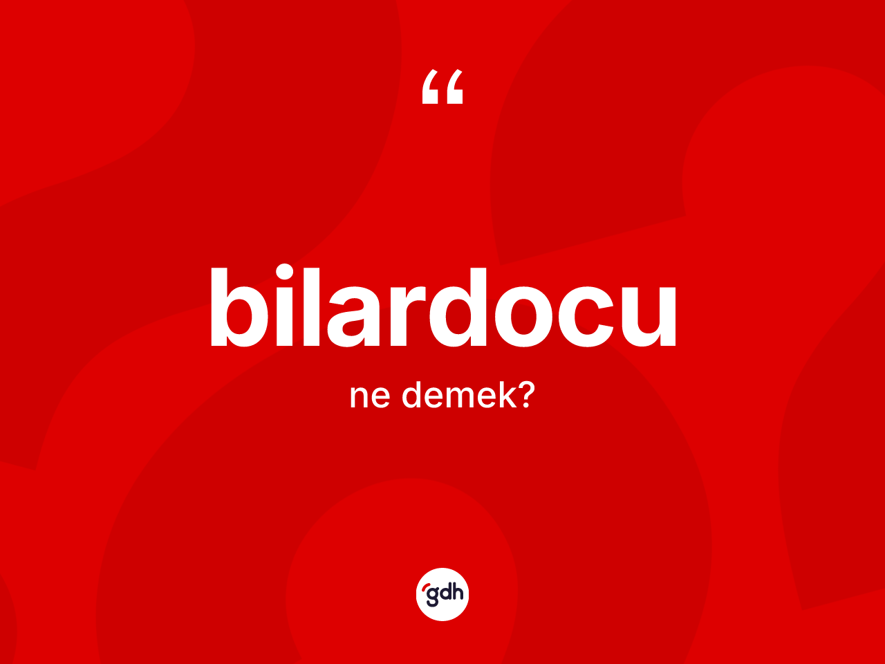 Bilardocu kelimesi ne demek? Bilardocu kelimesinin TDK anlamı nedir?
