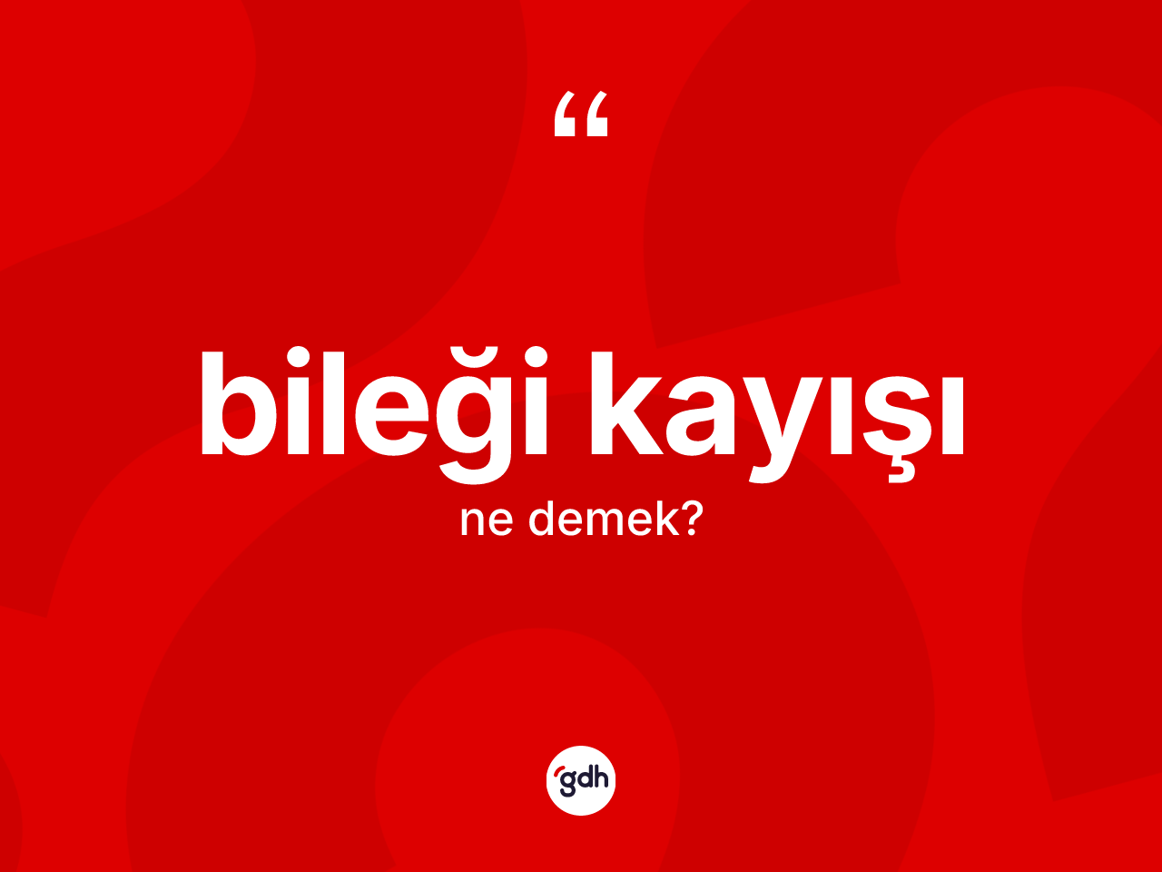 Bileği kayışı kelimesinin anlamı nedir? Bileği kayışının TDK'ya göre anlamı nedir?