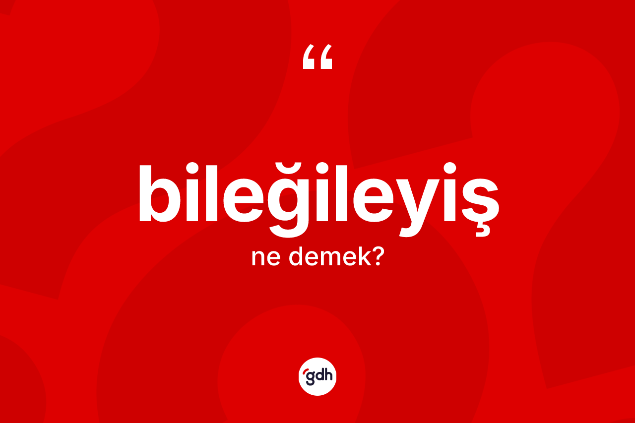 Bileğileyiş kelimesi ne demek? Bileğileyiş kelimesinin özellikleri nelerdir?