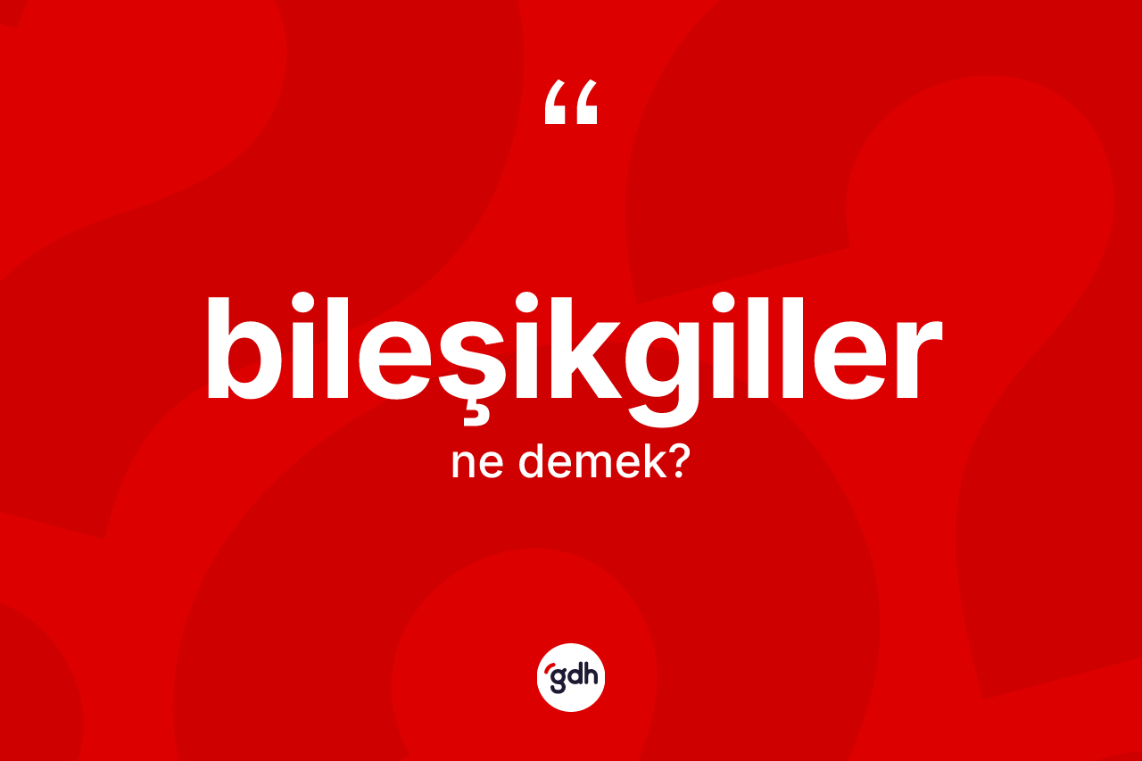 Bileşikgiller kelimesinin tanımı nedir?