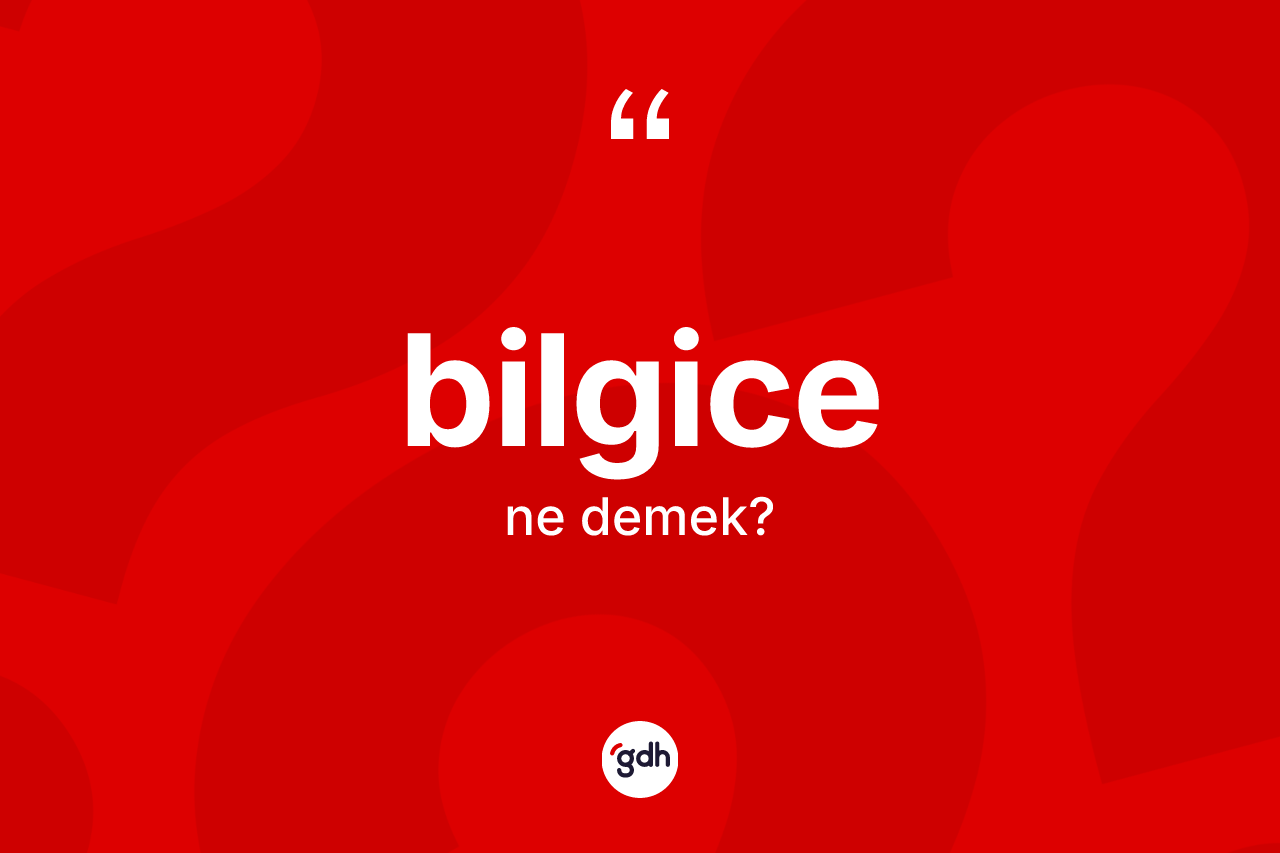 Bilgice kelimesinin sözlükteki tanımı nedir? Bilgice kelimesinin özellikleri nelerdir?
