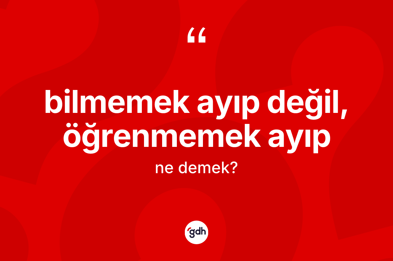 Bilmemek ayıp değil, öğrenmemek ayıp ifadesinin tanımı nedir?