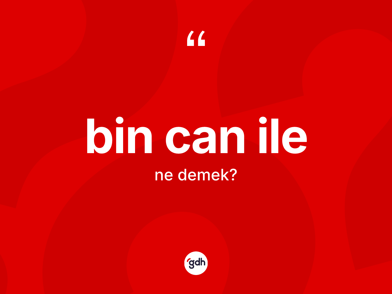 Bin can ile ifadesinin anlamı nedir? Bin can ile ifadesinin TDK anlamı nedir?