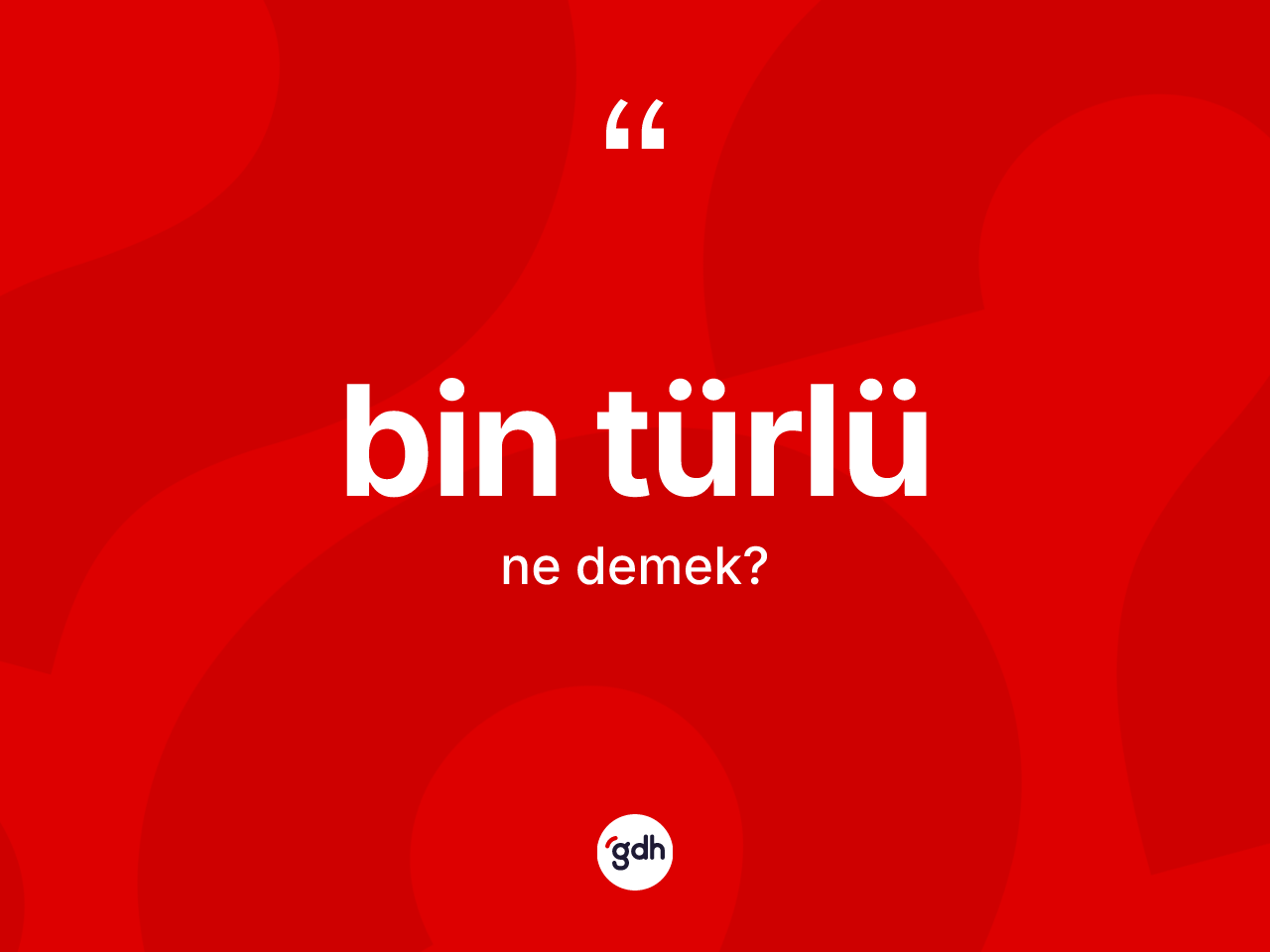Bin türlü kelimesinin sözlükteki tanımı nedir? Bin türlünün TDK'ya göre anlamı nedir?