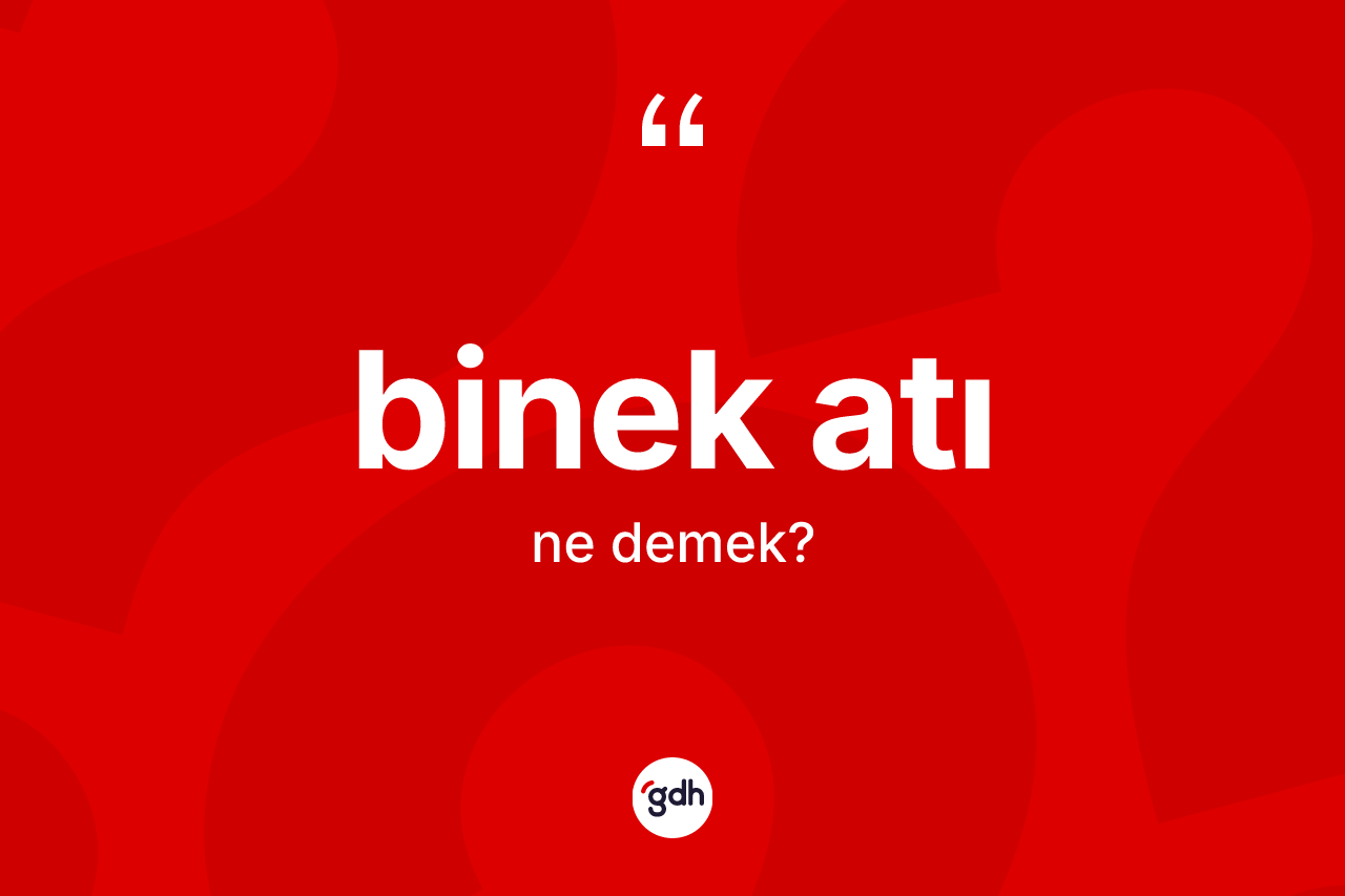 Binek atı kelimesi nedir? Binek atı kelimesinin TDK'ya göre açıklaması nedir?