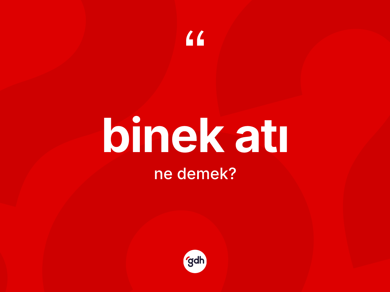Binek atı kelimesi nedir? Binek atı kelimesinin TDK'ya göre açıklaması nedir?