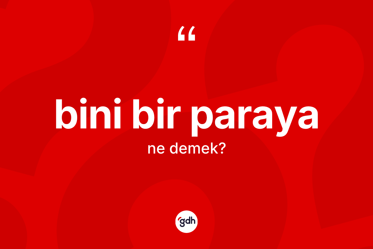 Bini bir paraya ne anlama gelir?