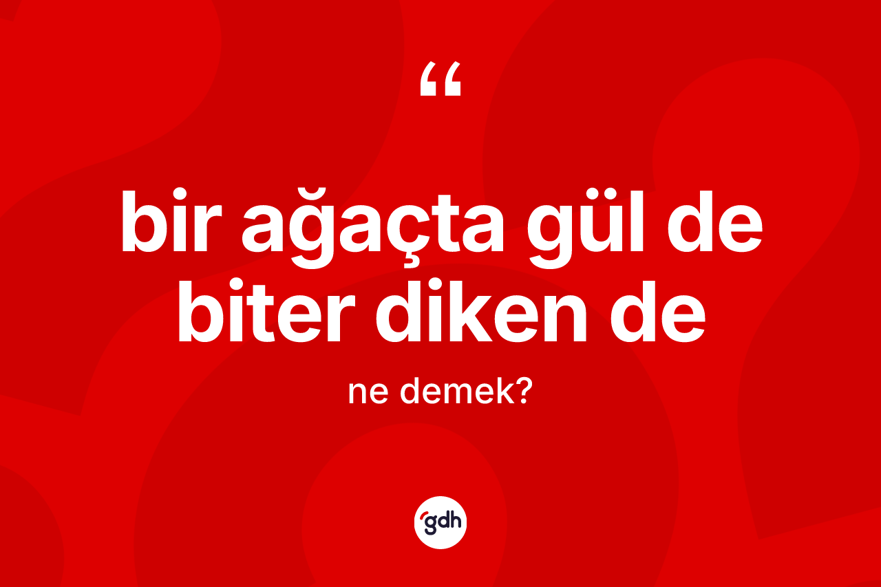 Bir ağaçta gül de biter diken de ifadesi ne demek? Bir ağaçta gül de biter diken de sözünün sözlük anlamı nedir?