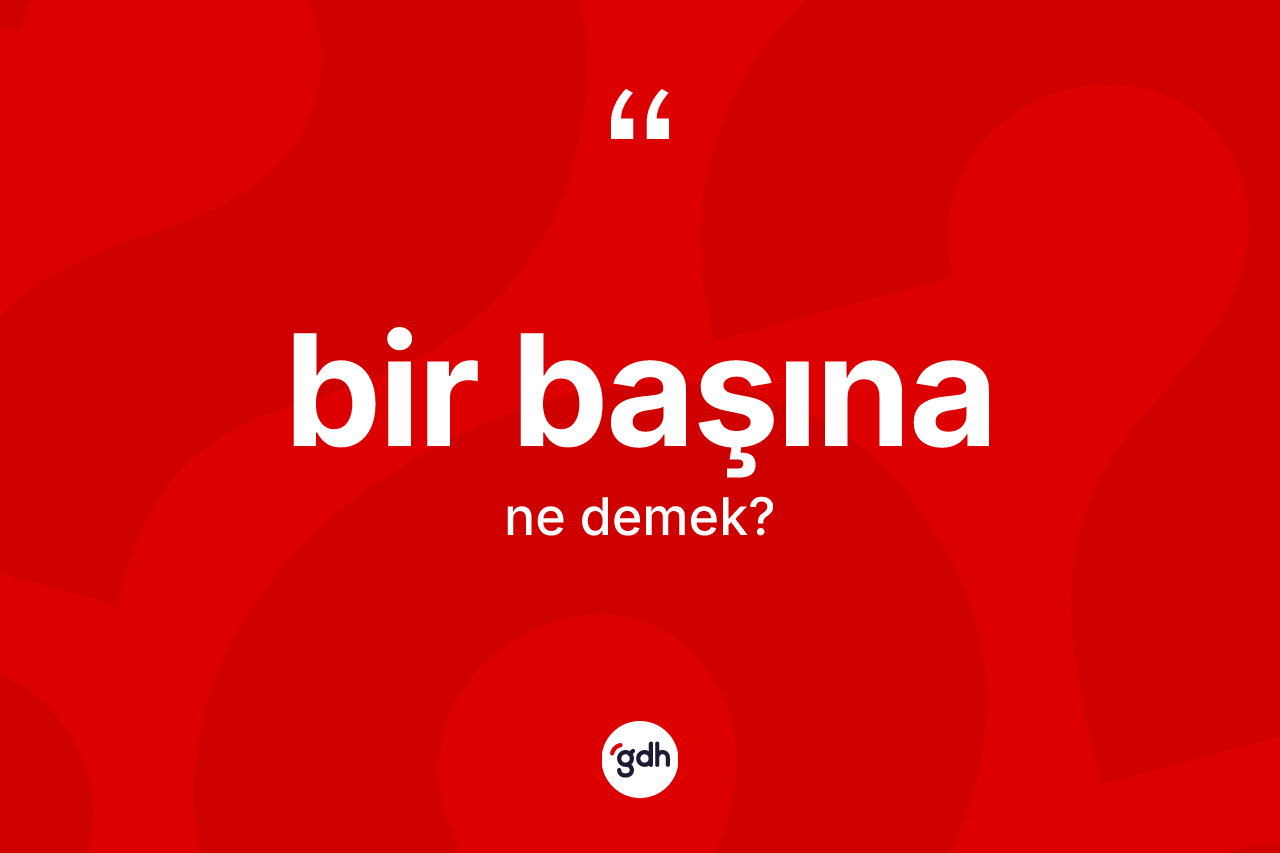 Bir başına kelimesinin tanımı nedir? Bir başınanın TDK'ya göre anlamı nedir?
