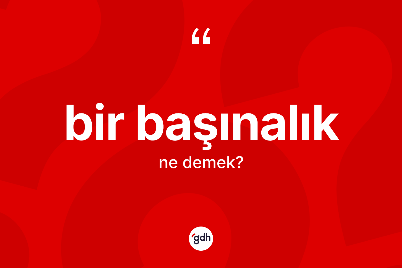 Bir başınalık kelimesi ne anlama gelir? Bir başınalığın TDK'ya göre anlamı nedir?