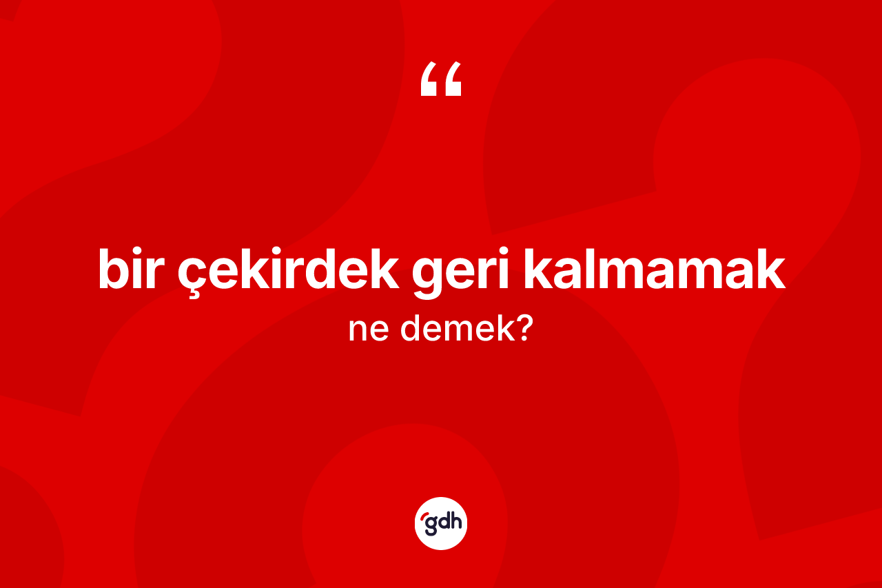 Bir çekirdek geri kalmamak ifadesinin anlamı nedir? Bir çekirdek geri kalmamak ifadesinin TDK'ya göre açıklaması nedir?