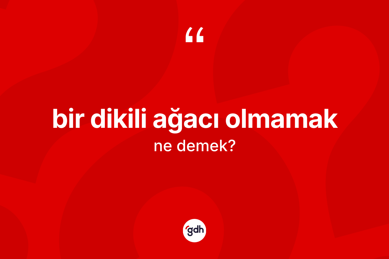 Bir dikili ağacı olmamak ifadesinin anlamı nedir?
