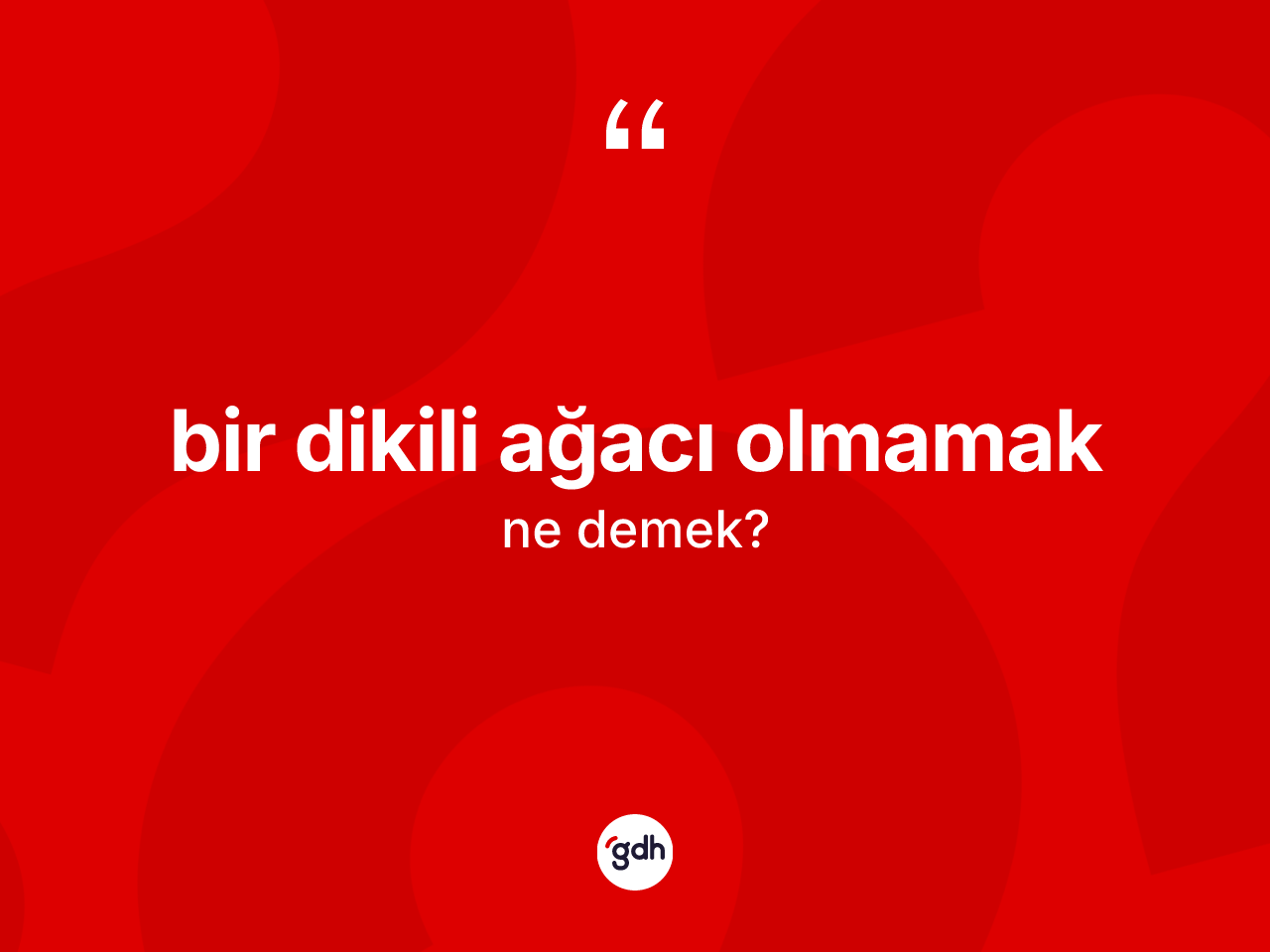 Bir dikili ağacı olmamak ifadesinin anlamı nedir? Bir dikili ağacı olmamak sözünün TDK'ya göre anlamı nedir?