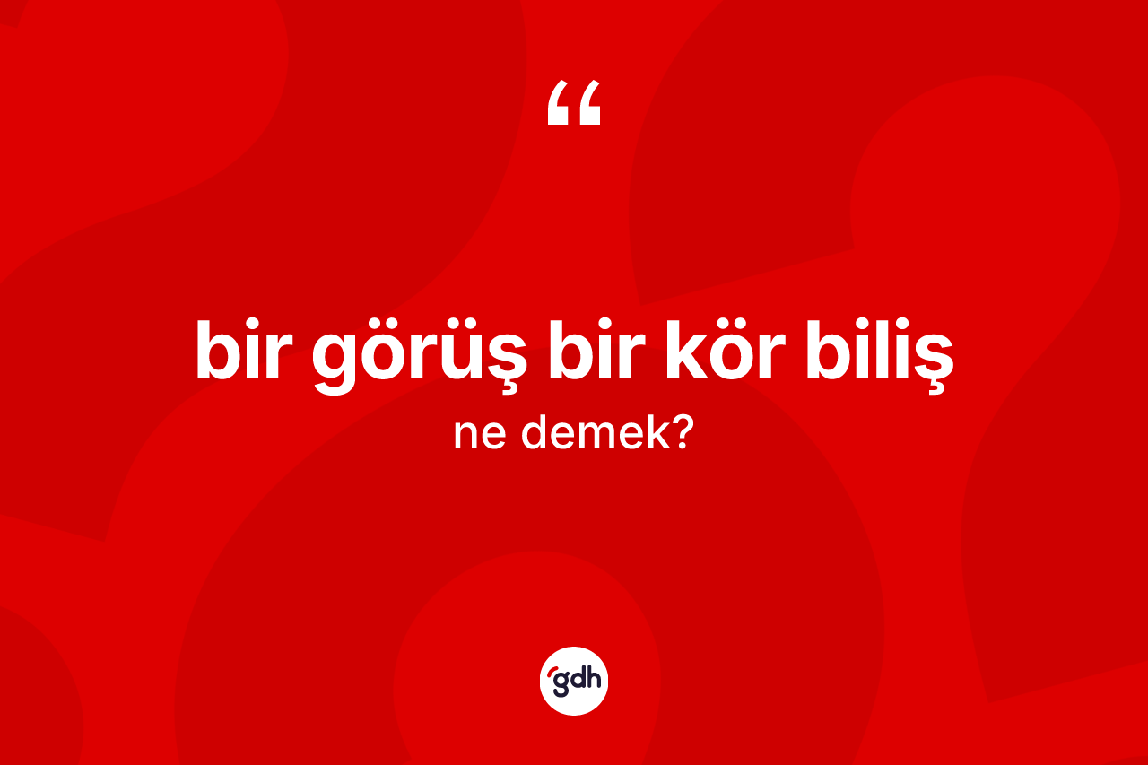 Bir görüş bir kör biliş ifadesinin sözlükteki anlamı nedir? Bir görüş bir kör biliş ifadesi nerede kullanılır?