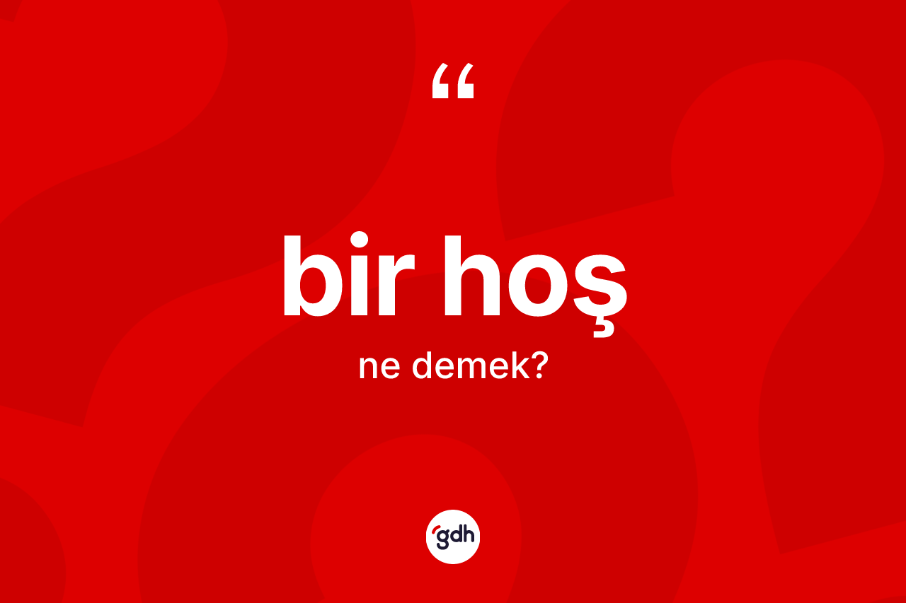Bir hoş kelimesinin anlamı nedir? Bir hoşun sözlükteki anlamı nedir?