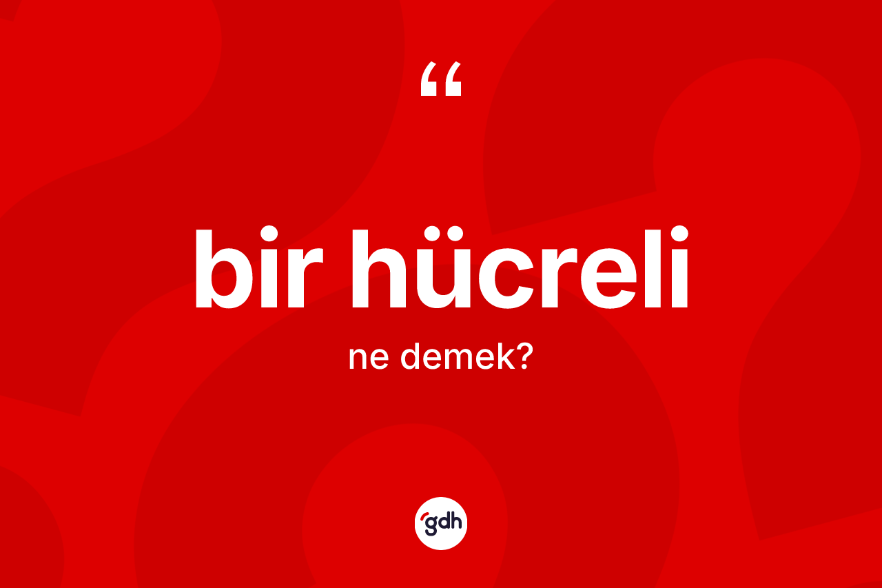 Bir hücreli kelimesi ne demek? Bir hücreli kelimesinin TDK anlamı nedir?