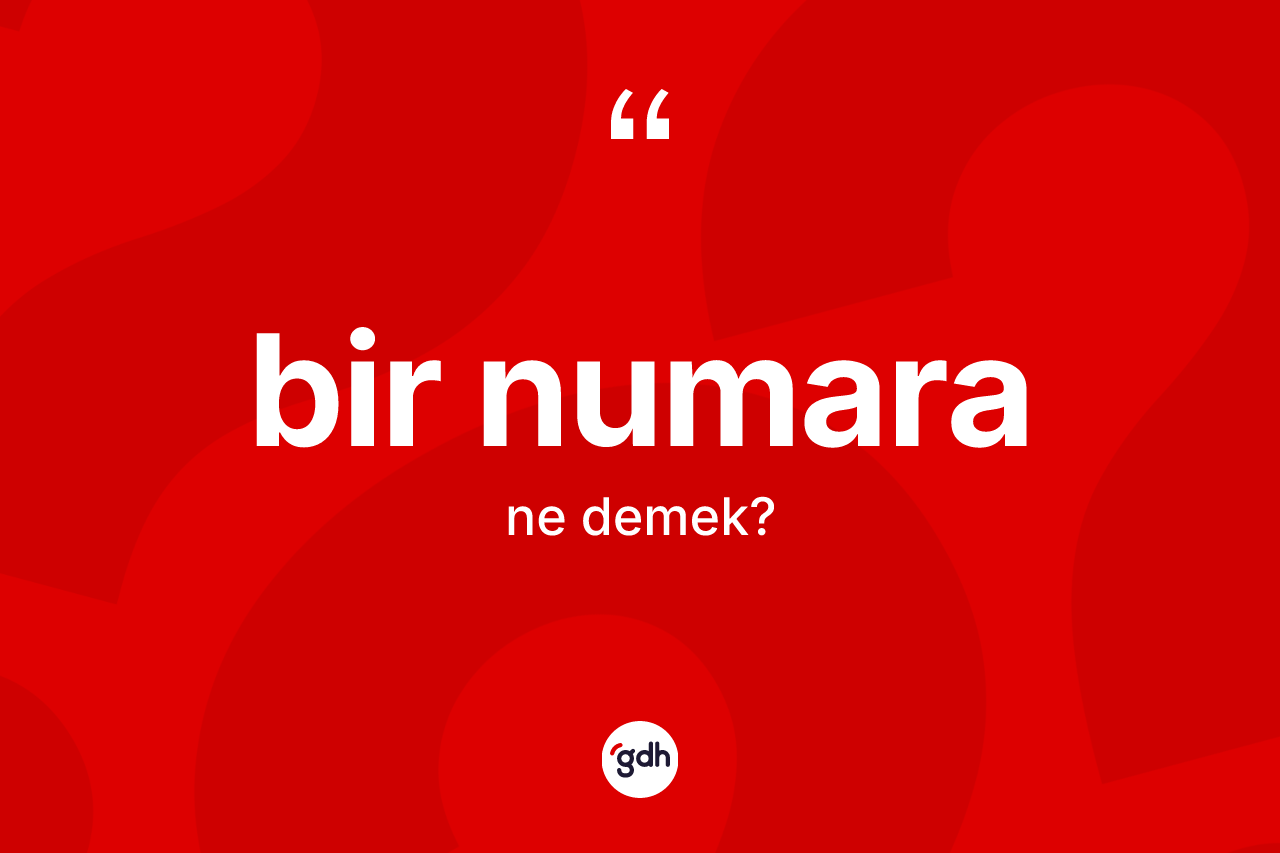 Bir numara kelimesinin sözlükteki tanımı nedir? Bir numaranın TDK'ya göre anlamı nedir?