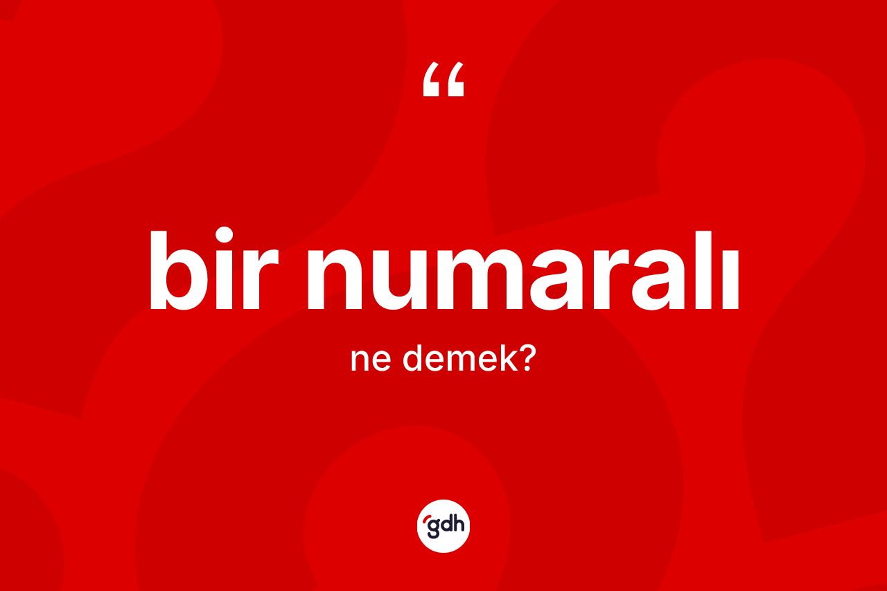 Bir numaralı kelimesinin sözlükteki tanımı nedir? Bir numaralının sözlükteki anlamı nedir?