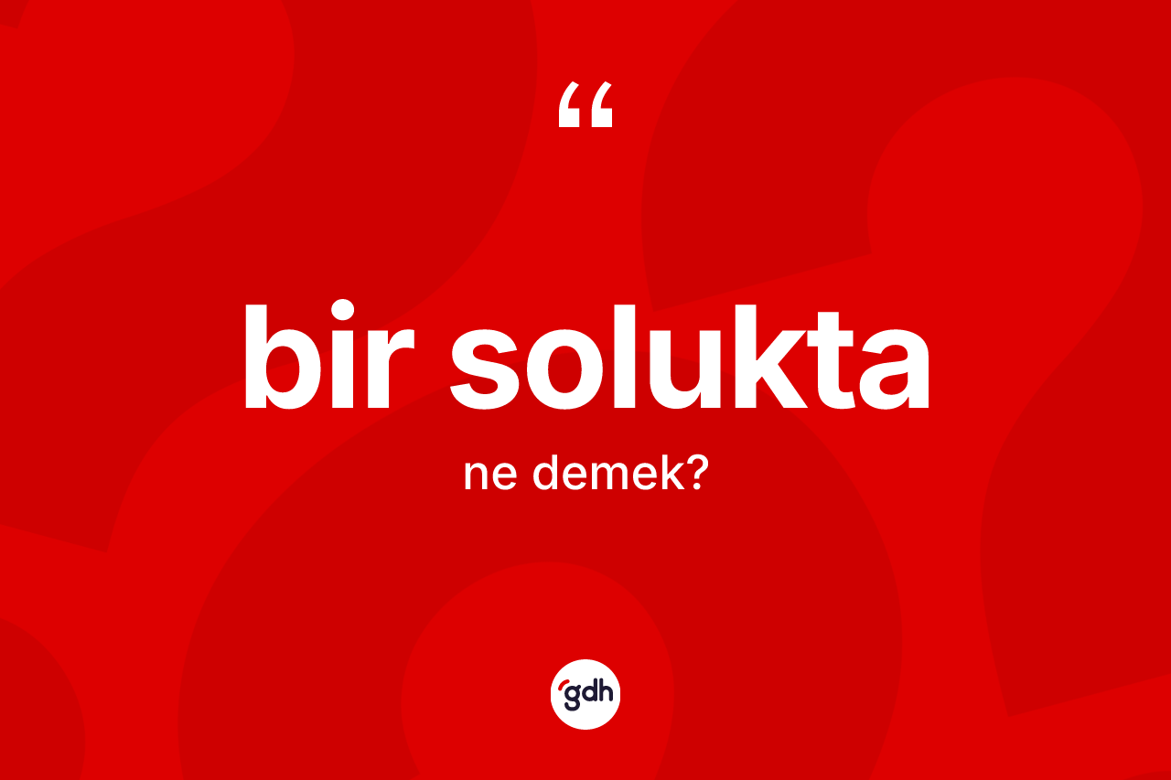 Bir solukta kelimesinin sözlükteki tanımı nedir?