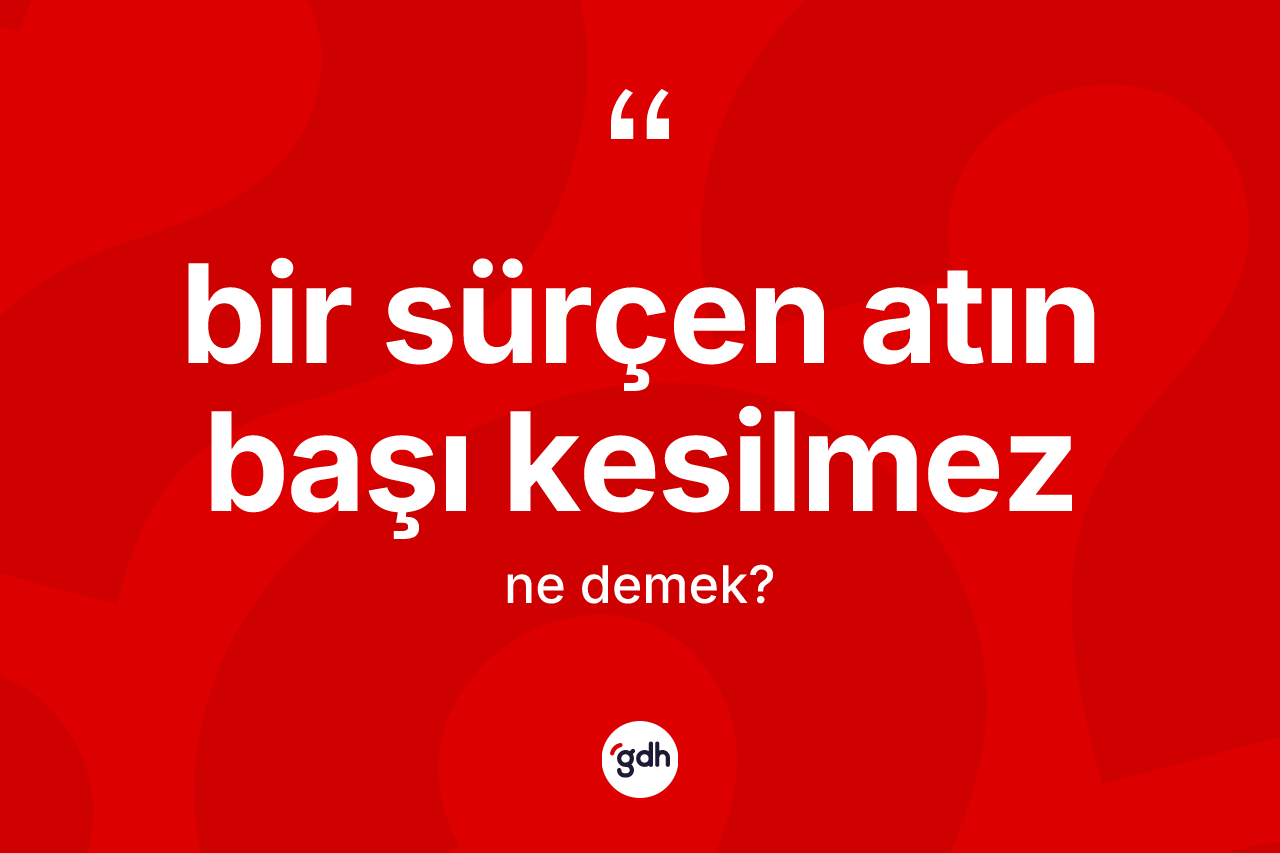 Bir sürçen atın başı kesilmez sözü ne demek?