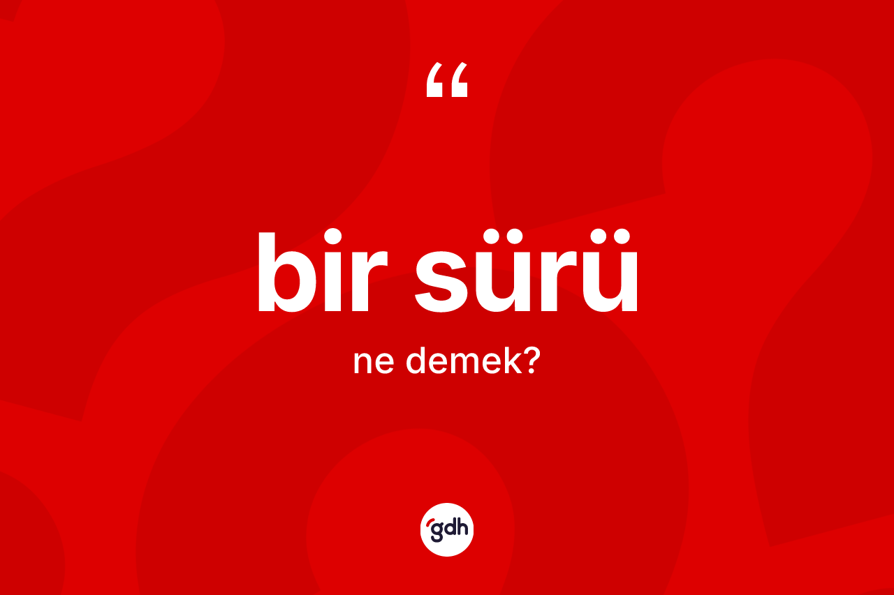 Bir sürü kelimesinin sözlükteki tanımı nedir? Bir sürünün sözlükteki anlamı nedir?