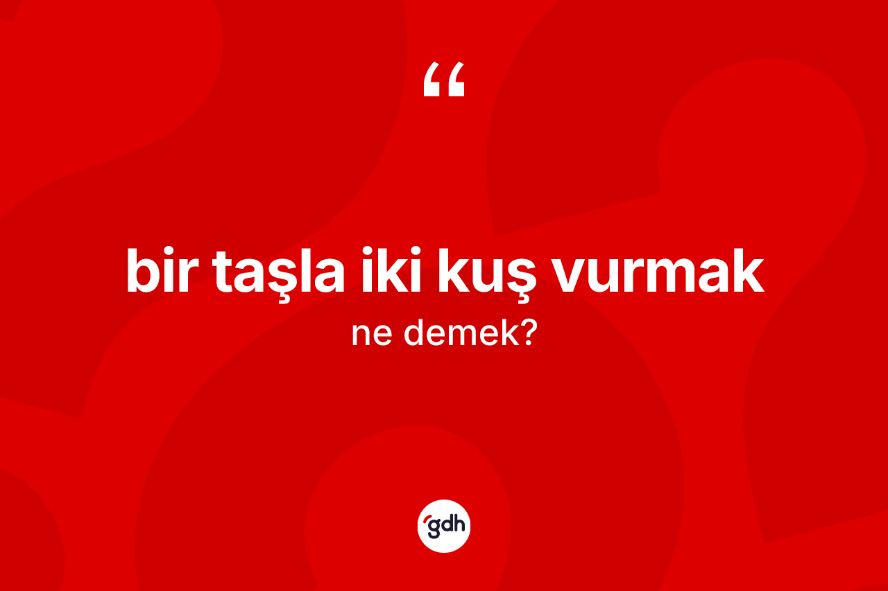 Bir taşla iki kuş vurmak ne demektir?