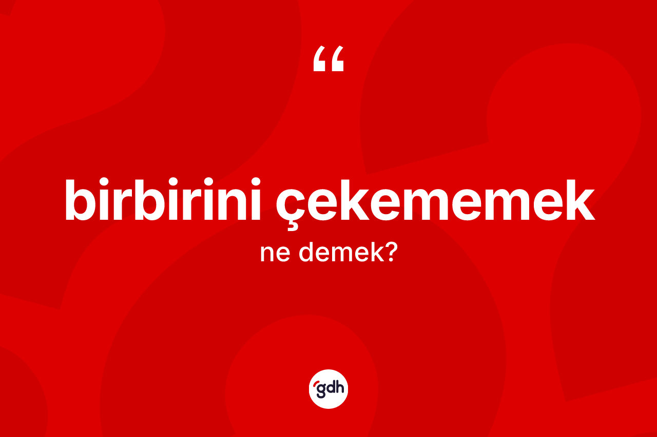 Birbirini çekememek ifadesinin sözlükteki anlamı nedir?