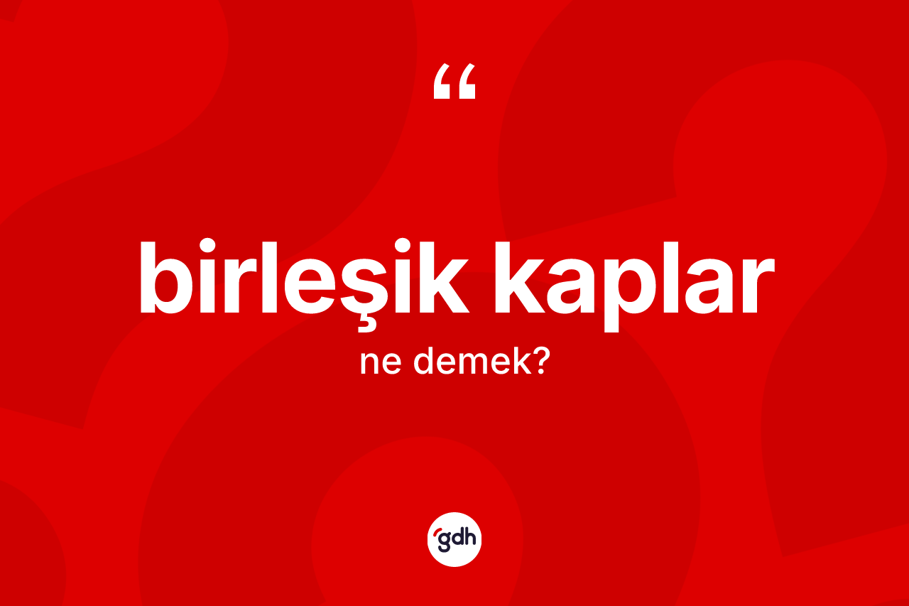 Birleşik kaplar kelimesi ne demek?
