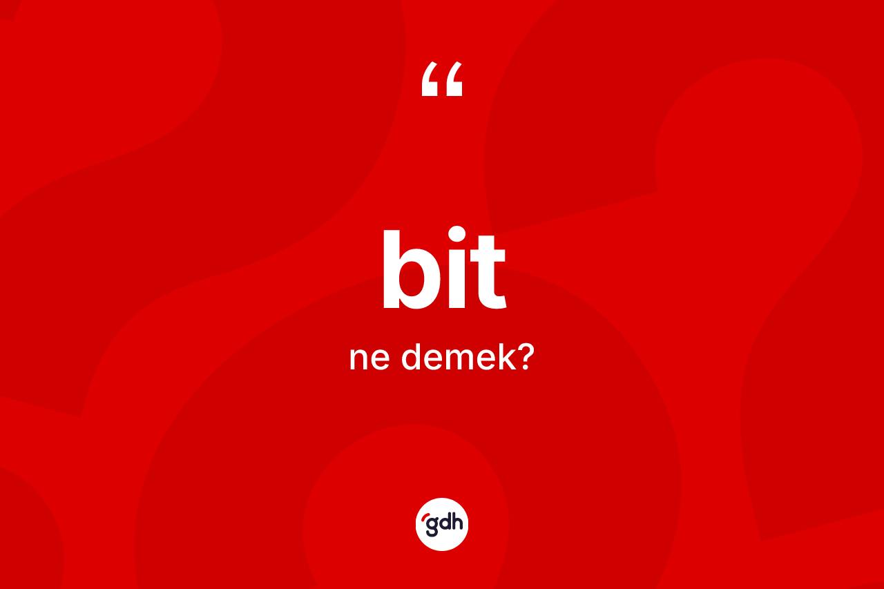 Bit kelimesi ne anlama gelir? Bitin sözlükteki anlamı nedir?