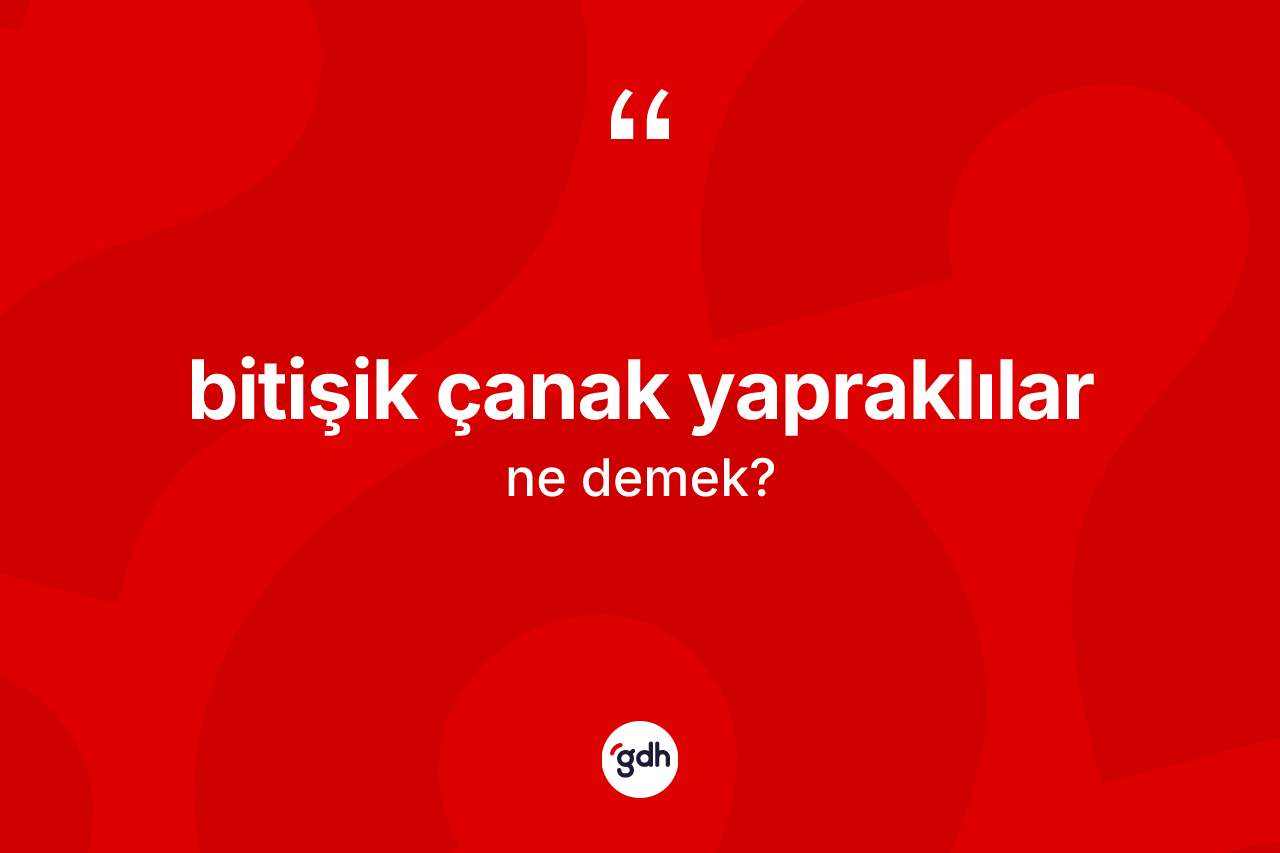 Bitişik çanak yapraklılar nedir? Bitişik çanak yapraklıların TDK'ya göre anlamı nedir?