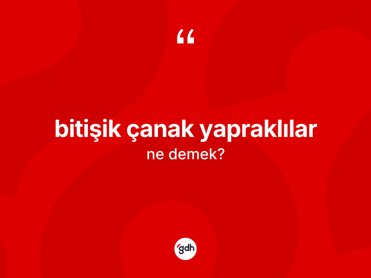 Bitişik çanak yapraklılar nedir? Bitişik çanak yapraklıların TDK'ya göre anlamı nedir?