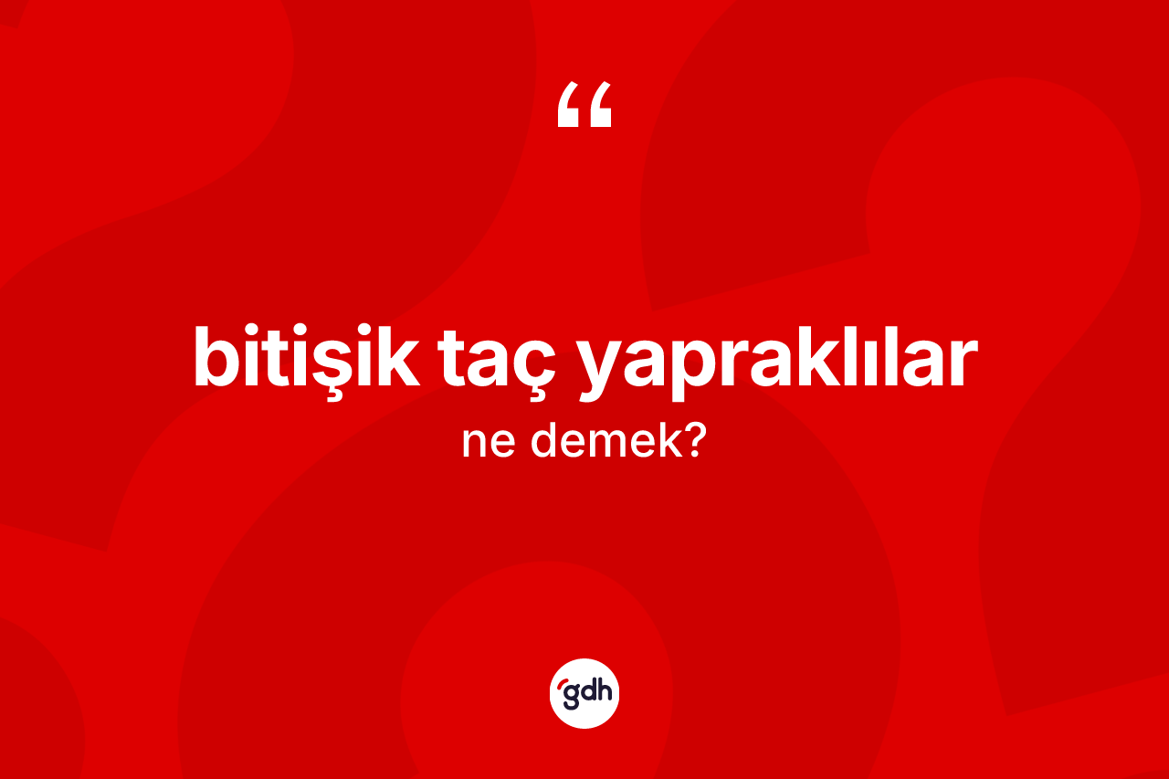 Bitişik taç yapraklılar ne demek? Bitişik taç yapraklıların kısaca tanımı nedir?