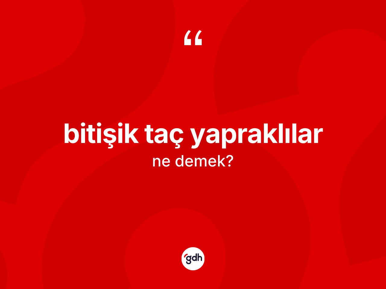 Bitişik taç yapraklılar ne demek? Bitişik taç yapraklıların kısaca tanımı nedir?